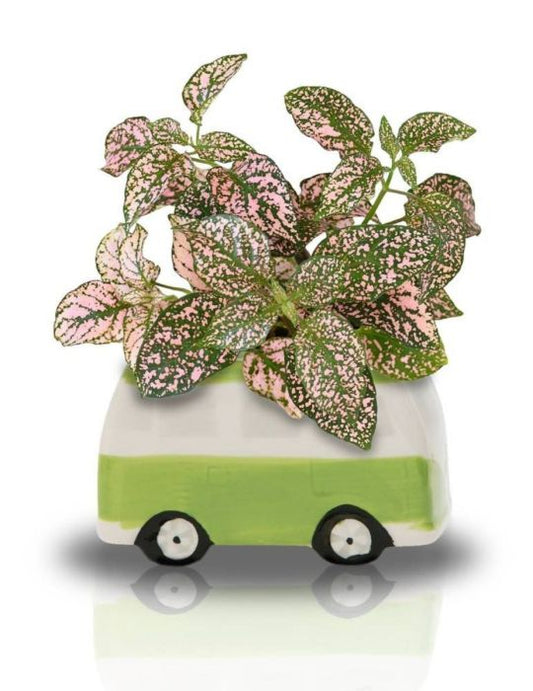 Minivan Planter Grow Kit